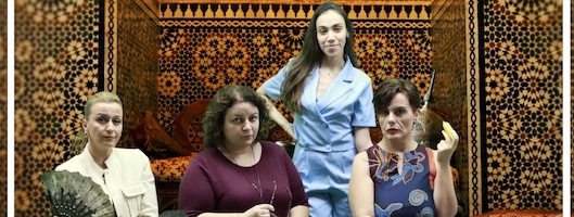 Hamdi Bey'in Zevceleri Oyunu Afişi